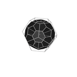 ./C60%20inscribed%20in%20a%20dodecahedron_html.png